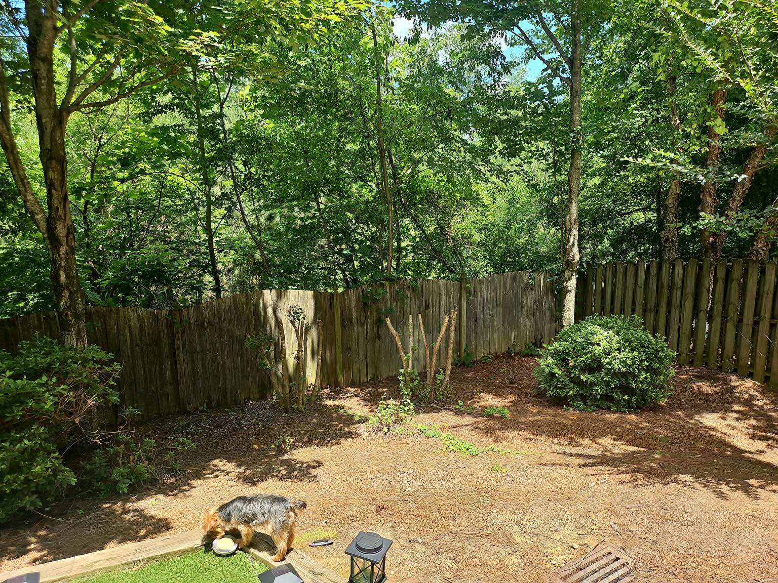 From an unused backyard… to a space you’ll actually want to spend time in. 🔥

We transformed this backyard with:
• Pea gravel patio
• Natural stone walkway
• Stone edging
• Landscape lighting
• String lights
• Fire pit area
• Fresh planting beds & mulch

Every project is designed to be functional, low maintenance, and built to last.

📍Serving North Metro Atlanta
📲 Free estimates — DM us or call today. (470)-560-7022