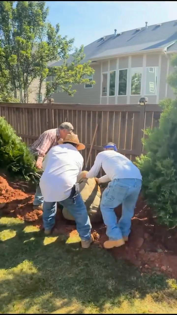 Another privacy screen installed and looking great.🌲

These trees will continue to fill in over time, adding beauty, shade, and privacy to this property for years to come.

If you’re looking to create a natural privacy barrier for your yard, send us a message for a free estimate.  #privacy #privacytrees #outdoorliving #landscaping #backyard